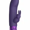 Shots - Royal Gems Dazzling – Rechargeable Silicone Bullet – Purple 1 Shots - Royal Gems Dazzling – Rechargeable Silicone Bullet – Purple -Vibrators Sales ROY012PUR 1